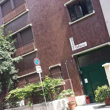 컬러 호스텔 *