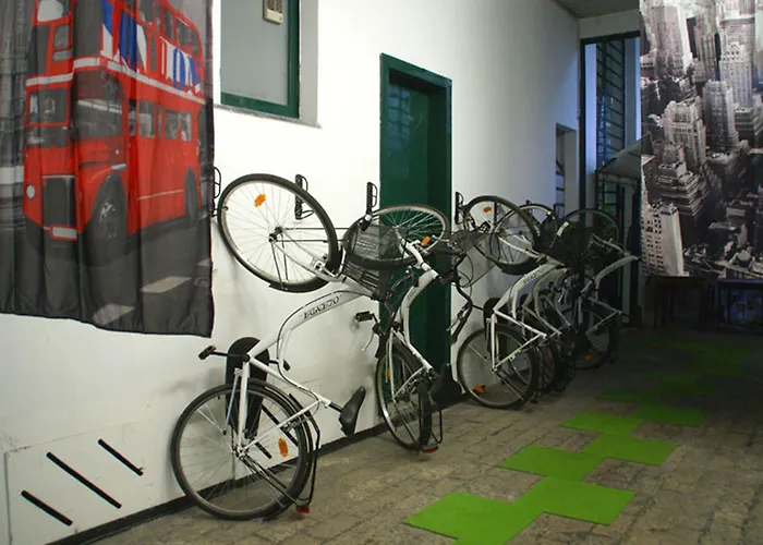 بيت شباب شباب كالارز *