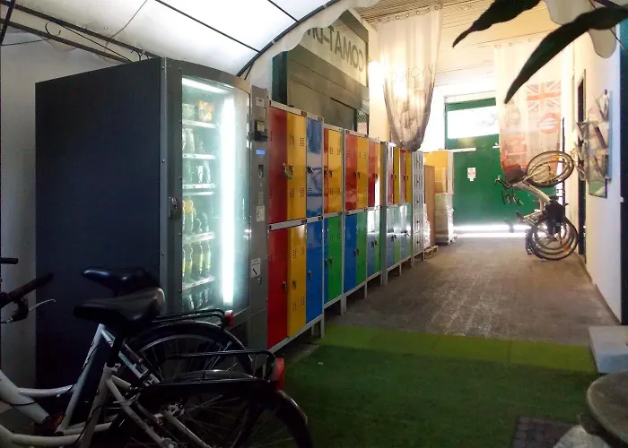 شباب كالارز