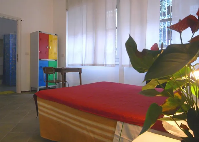 شباب كالارز *